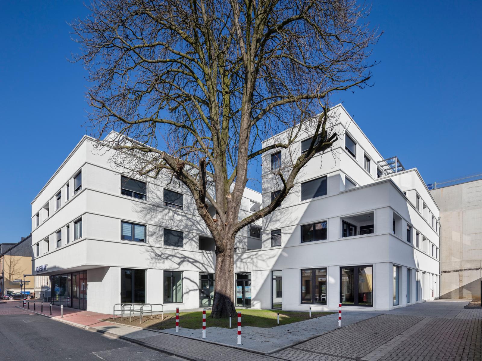 Wohnbau Kastanienhof Kastanie